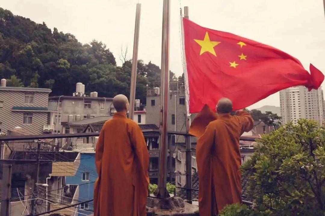 饥饿的松鼠救援