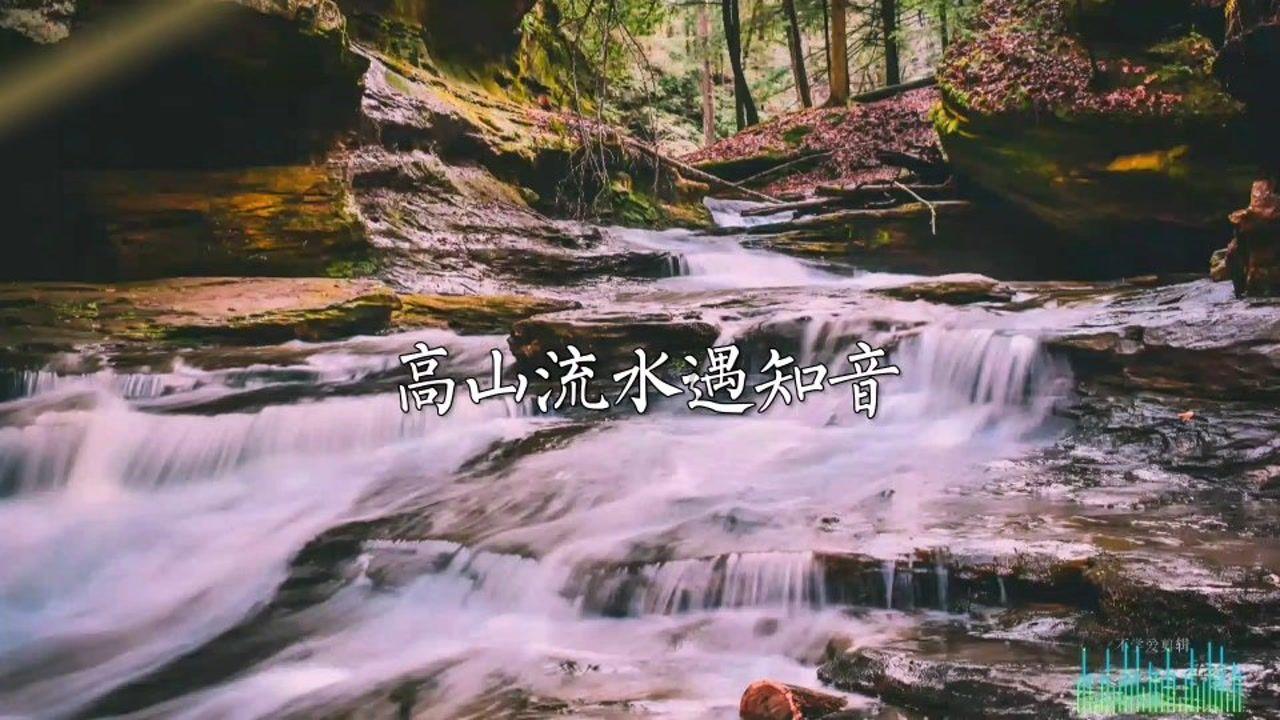 森林鸽营救